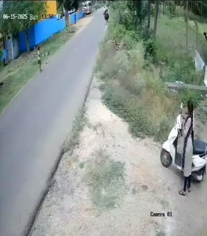 பாலக்கோடு: கறவை மாடு மீது இருசக்கர வாகனம் மோதியதில் தூக்கி வீசப்பட்டு இருவர் படுகாயம் - கரிகுட்டனூர் கிராம CCTV காட்சி வைரல்