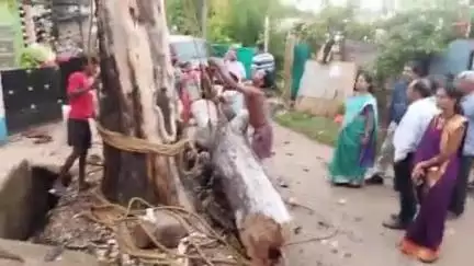 दंतेवाड़ा: ख़बर का हुआ असर, किरन्दुल में सड़क किनारे स्थित सूखे पेड़ को हटाया गया #Jansamasya