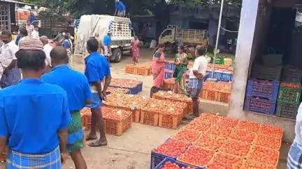 பாலக்கோடு: தொடர் மழை காரணமாக தக்காளி மார்க்கெட்டில் கிடுகிடுவென உயர்ந்த தக்காளி விலை