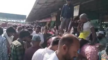 शाजापुर: शाजापुर मंडी में 11205 क्विंटल प्याज की आवक, ₹1400 प्रति क्विंटल बिकी