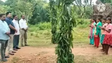 अडकी: ग्राम तायाबेड़ा में विधायक निधि से बने चबूतरे का विधायक प्रतिनिधि ने किया उद्घाटन
