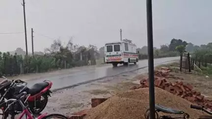 रनियां: तोकेन पुलिया पर बाइक चालक ने रेलिंग को मारी टक्कर, मौके पर हुई मौत