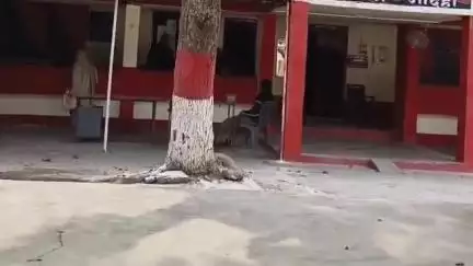 हमीरपुर: मौदहा कस्बे में पुत्र ने पिता पर किया जानलेवा हमला, पिता हुआ लहूलुहान