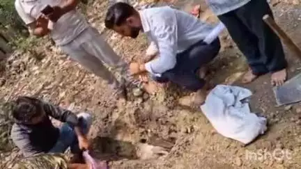 बिधूना: हरचंदपुर पीएचसी पर मृत मिला मोर, वन विभाग और स्वास्थ्य कर्मियों की निगरानी में हुआ अंतिम संस्कार