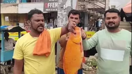 ಕೃಷ್ಣರಾಜಪೇಟೆ: ಕೆ.ಆರ್.ಪೇಟೆಯಲ್ಲಿ ಮೀನುಗಾರರ ಬಲೆಗೆ ಬಿದ್ದ ಬಂಗಾರ ಬಣ್ಣದ ಗೌರಿ ಮೀನು: ನೋಡಲು ಮುಗಿ ಬಿದ್ದ ಜನರು
