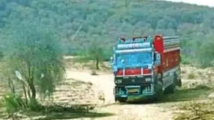 बूंदी: टाइगर रिजर्व में चार बाघों के मूवमेंट के दौरान वनकर्मियों ने ट्रक में भरवाई लकड़ियां, विभाग ने माना मिलीभगत