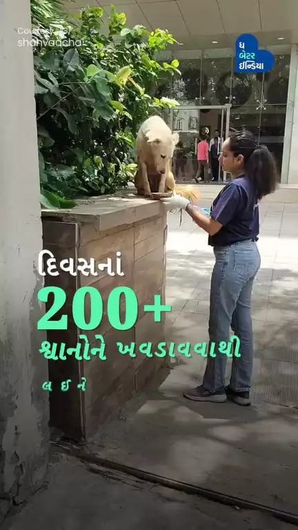 દરરોજ 200 શ્વાનોની સારવારથી લઈને બધી જ સેવા કરે છે વાચા | Vacha shah| Dog lover | Ahmedabad