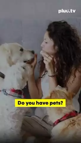 7 Weird Pet Laws You Won’t Believe Exist 🐾😱 From Chatty Parrots to Goldfish Drama — Watch Now!#pluctv