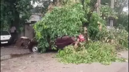 चित्तौड़गढ़: कुंभ नगर क्षेत्र में तेज आंधी तूफान के साथ पेड़ टूटकर बिजली के तारों और कारों पर गिरे