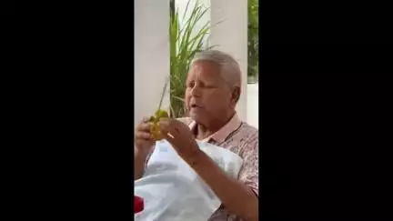 पटना ग्रामीण: राबड़ी आवास से लालू यादव का आम चूसकर खाते वीडियो आया सामने, बहस छिड़ी- चूसकर खाएं या काटकर!