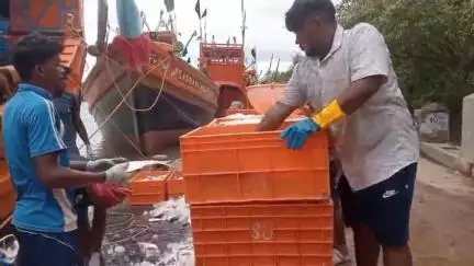 কাকদ্বীপ: মরশুমের প্রথম ইলিশ মাছ ঢুকলো মৎস্য বন্দরে তা নিয়ে প্রতিক্রিয়া দিলেন মৎস্যজীবী ওয়েলফেয়ার অ্যাসোসিয়েশনের সম্পাদক