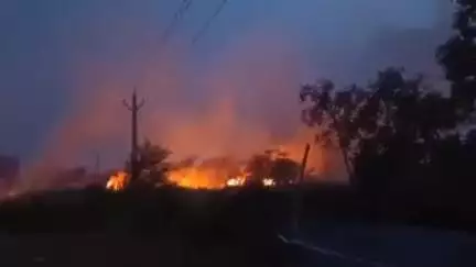 भगवानपुर: सामुदायिक स्वास्थ्य केंद्र के पीछे जंगल में लगी भीषण आग, दमकल ने पाया काबू