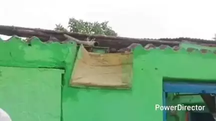 हर्रई: हर्रई नगर में तेज आंधी-तूफान से नीरज नेमा के घर का छप्पर उड़ा, हजारों का नुकसान