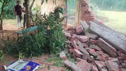 दारू: बानाहप्पा में जंगली हाथियों के झुंड का उत्पात, चहारदीवारी तोड़ी और फसलें रौंदी