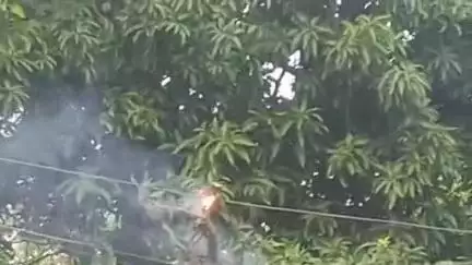 खजौली: वर्षा के बाद ठाहर गांव में 11 हजार के तार पर गिरी आम की डाली, सड़क पर आवागमन ठप