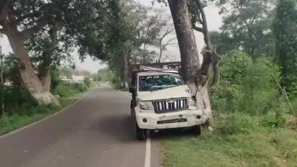 गगरेट: कुठेड़ा जसवालां में एक पिकअप ट्राला पेड़ से टकराया, चालक बाल-बाल बचा