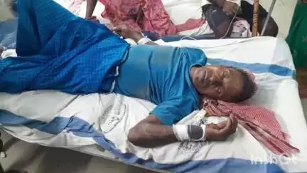 अरवल: हरना गांव में ताड़ी निकालते समय पेड़ से गिरकर एक व्यक्ति जख्मी, सदर अस्पताल में भर्ती