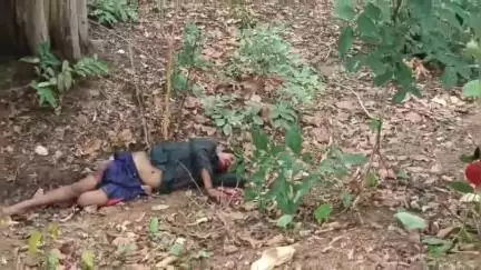 बालाघाट: कंटाटोला कोपेफाटा में महिला को बचाने के प्रयास में पेड़ से जा टकराई एक बाइक, गंभीर रूप से घायल हुआ चालक