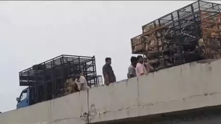 భీమవరం: చనిపోయిన కోళ్లను గొంతేరు కాలువలోకి వేసిన వారిపై కఠిన చర్యలు తీసుకోవాలని మత్స్యపురి గ్రామస్తులు ఆందోళన