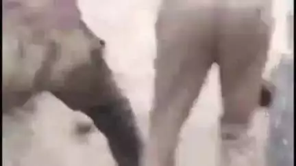 पटियाली: आजमपुर गांव में व्यक्ति को ले जाते पुलिस का वीडियो वायरल, पुलिस ने बताया कि व्यक्ति आत्महत्या की कोशिश कर रहा था
