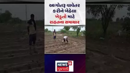 Surendranagar Farmers | આગોતરૂ વાવેતર કરીને બેઠેલા ખેડૂતો માટે રાહતના સમાચાર  | Farm | Gujarati News