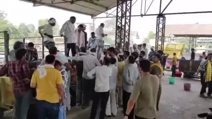 भांडेर: भांडेर मंडी में 200 से अधिक किसान पहुंचे, व्यापारियों ने उपज खरीदी, गेहूं की बंपर आवक