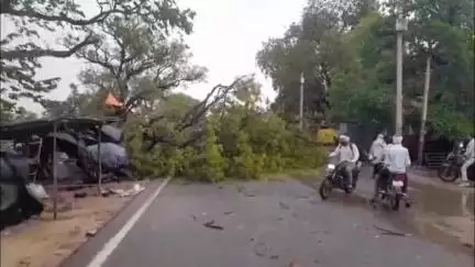 मोठ: मौठ तहसील क्षेत्र में तेज आंधी का कहर, पेड़ गिरे, खंभे उखड़े, किसान घायल, भैंस की हुई मौत