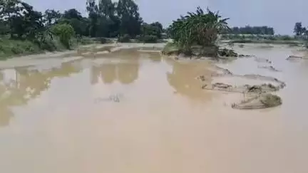 सोनबरसा: बसतपुर में मिट्टी खुदाई से झीम नदी का पानी फैला, बिजली का खंभा झुका