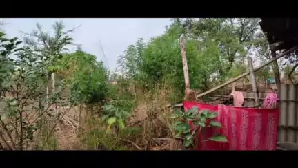 विजयराघवगढ़: करनपुरा में पुलिस ने दो लोगों की बाड़ियों से ₹2.45 लाख का गांजा जब्त किया, आरोपी जेल भेजे गए