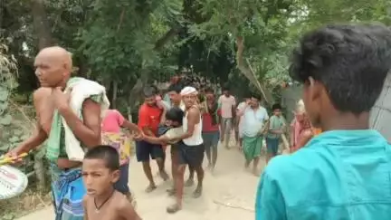 सिमरी बख्तियारपुर: मुरली गांव: जामुन तोड़ते समय पेड़ से गिरकर युवक जख्मी, अस्पताल में भर्ती