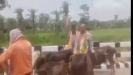 जरमुण्डी: बासुकिनाथ मंदिर में चढ़ावे की गौ को ले जाते गौ रक्षक और बजरंग दल ने पकड़ा, पुलिस पहुंची