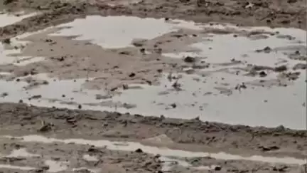 बनमा इटहरी: बनमा ईटहरी प्रखंड क्षेत्र में बारिश से गर्मी से राहत, किसानों के चेहरे पर आई खुशी