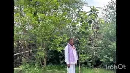नरसिंहगढ़: 34 वर्षों से पौधरोपण कर रहे, 300 से अधिक पेड़ लगाकर बढ़ा रहे हरियाली