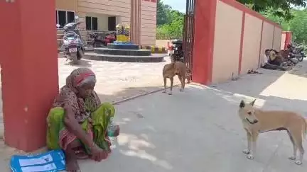 ନିମାପଡା: ବାୟବର ନୂଆ ଗୋପାଳ ପୁର ବସ୍ତିରେ ବୃଦ୍ଧାଙ୍କ ଘରୁ ଟଙ୍କା ଚୋରି ଅଭିଯୋଗ, ପୋଲିସର ତଦନ୍ତ ଜାରି