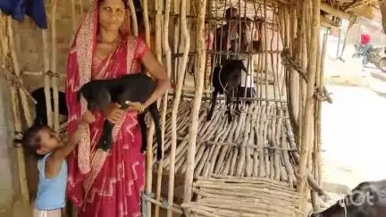नौडीहा बाज़ार: नौडीहा बाजार प्रखंड के ग्महरियाडीह ग्राम में जेएसएलपीएस समूह से जुड़कर महिलाएं बन रहीं आत्मनिर्भर