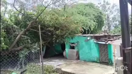 जालना: अशोक नगर जोरदार वादळी वाऱ्यामुळे एक मोठं झाडं घरावर पडलं...घटनेत सुदैवाने जीवितहानी नाही... #Jansamasya