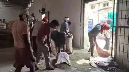 सोहागपुर: सेमरी हरचंद कृषि उपज मंडी समिति ने सोमवार के फसल बिक्री भाव जारी किए
