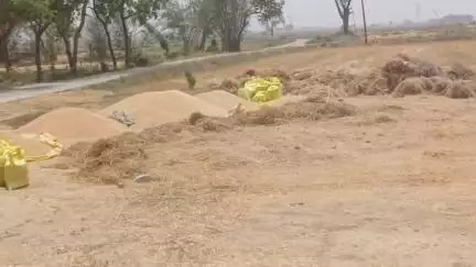 बक्सर: गेहूं खरीद की तिथि समाप्त, विभाग लक्ष्य का 1% भी गेहूं नहीं खरीद सका