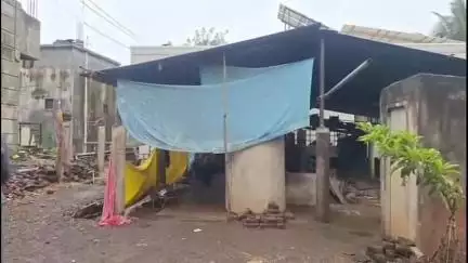 पलूस: अनुगडेवाडीत काल पुन्हा हिंस्र प्राण्याचा हल्ला - चार ठिकाणी थैमान, दोन शेळ्या ठार, दोन जखमी