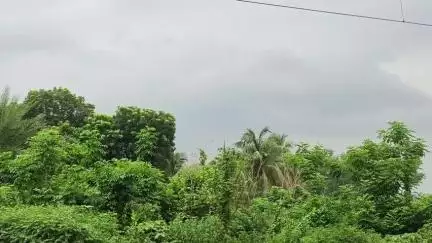 কৃষ্ণনগর ১: আবহাওয়াদপ্তরের তথ্য অনুযায়ী কৃষ্ণনগরসহ জেলাজুড়ে হলুদ সতর্কতা জারি,৪০-৫০কিমি বেগে ঝড়ের সম্ভাবনা দু এক জায়গায় বৃষ্টি