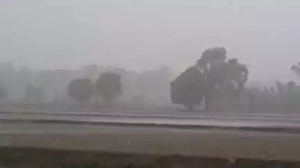 बांधवगढ़: जिले में मानसून की दस्तक, तेज आंधी-तूफान के साथ बारिश, गर्मी से राहत, किसान खेती की तैयारी में