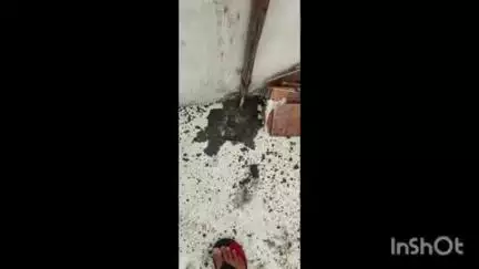 मीरगंज: मीरगंज कस्बा के मोहल्ला राजेंद्र नगर में एक मकान पर गिरी आकाशीय बिजली, लिंटर में हुआ छेद