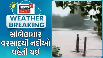 Amreli Rain Update | અમરેલીમાં સાંબેલાધાર વરસાદથી નદીઓ વહેતી થઈ | Monsoon | Heavy Rain | | News18
