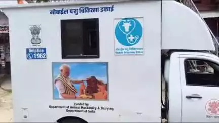 सिरदला: गाय के पेट में फंसे बछड़े को ट्रैक्टर से निकाला, गाय स्वस्थ