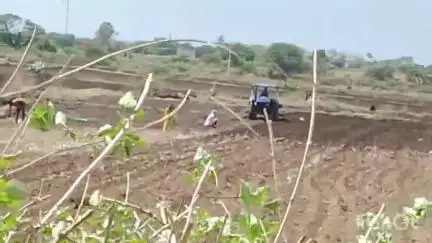 बदनावर: मानसून की दस्तक से किसानों के चेहरे खिले, खरीफ फसल बोने में जुटे