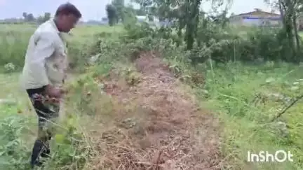 हरलाखी: बिशौल गांव में NH किनारे खेत से हरा पेड़ काटकर पहुंचाया नुकसान, हरलाखी थाना पुलिस में शिकायत