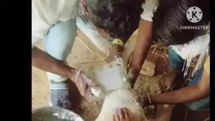 मोहलाके नंदेश्वर गौसेवक टीम की निःस्वार्थ सेवा पर जिले के अधिकारियों, क्षेत्रीय जनप्रतिनिधियों व ग्रामीणों ने की सराहना