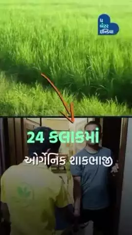 1500 ઘરોમાં Organic શાકભાજી પહોંચાડે છે.
Delhi Farmer | Home Delivery Of Organic Vegetable
