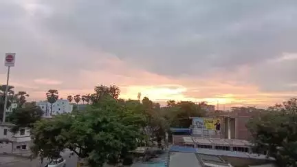 Good Morning 🌅 Friends 

#mahua #goodmorning #friends 
#hajipur #vaishali