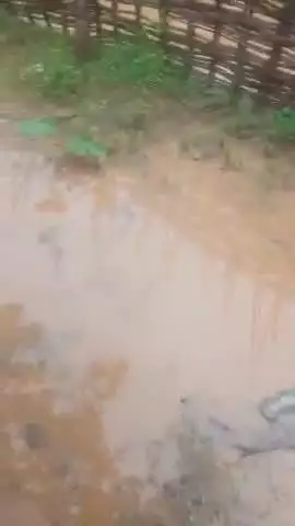 दुध्दी सोनभद्र उत्तर प्रदेश आया लैंको कंपनी उस वजह से रास्ते में रुका पानी
@